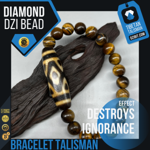 Tiger eye Stone Bracelet with Diamond Dzi Bead