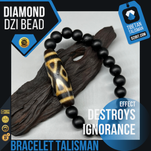 Shaligram stone Bracelet with Diamond Dzi Bead