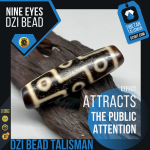 Nine eyes Dzi Bead 9