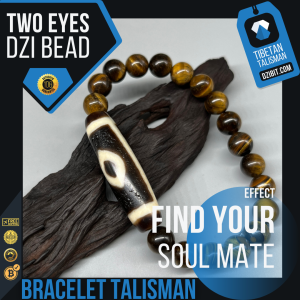 Tiger eye Stone Bracelet Special Two eyes Dzi Bead