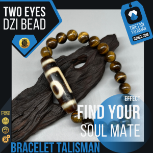 Tiger eye Stone Bracelet Two eyes Dzi Bead