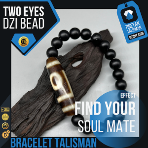 Shaligram stone Bracelet Two eyes Dzi Bead