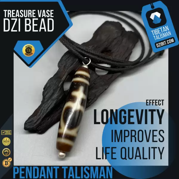 Pendant Amulet - Treasure Vase or Longevity Dzi Bead