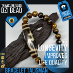 Tiger eye Stone Bracelet with Treasure Vase or Longevity Dzi Bead