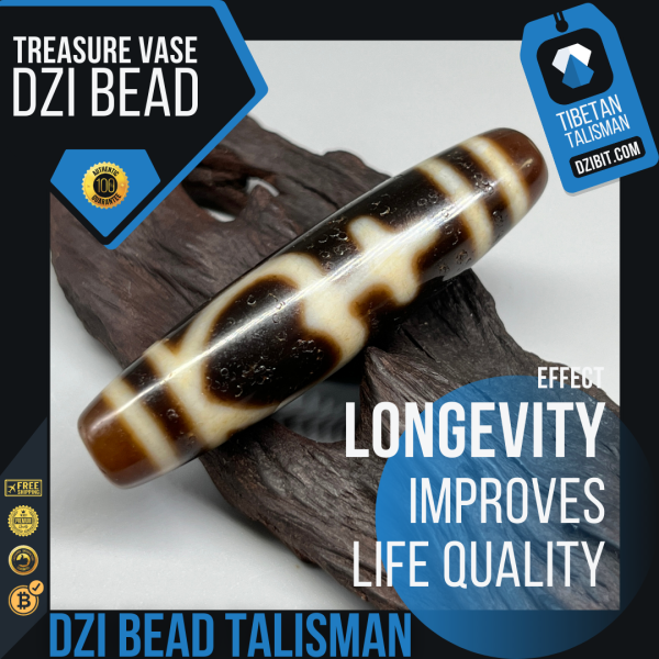 Treasure Vase or Longevity Dzi Bead