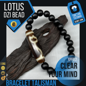 Shaligram stone Bracelet with Lotus Dzi Bead