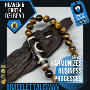 Tiger eye Stone Bracelet with Heaven & Earth with Waves Dzi Bead