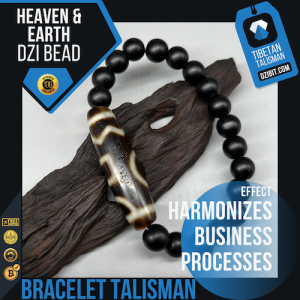 Shaligram stone Bracelet with Heaven & Earth with Waves Dzi Bead