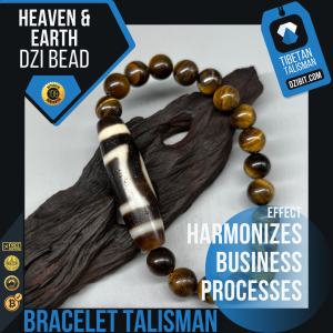 Tiger eye Stone Bracelet with Heaven & Earth Dzi Bead