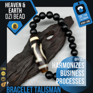 Shaligram stone Bracelet with Heaven & Earth Dzi Bead